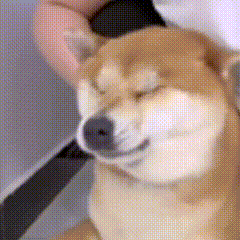 1755913085662.gif