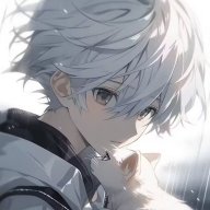 风生_fsw